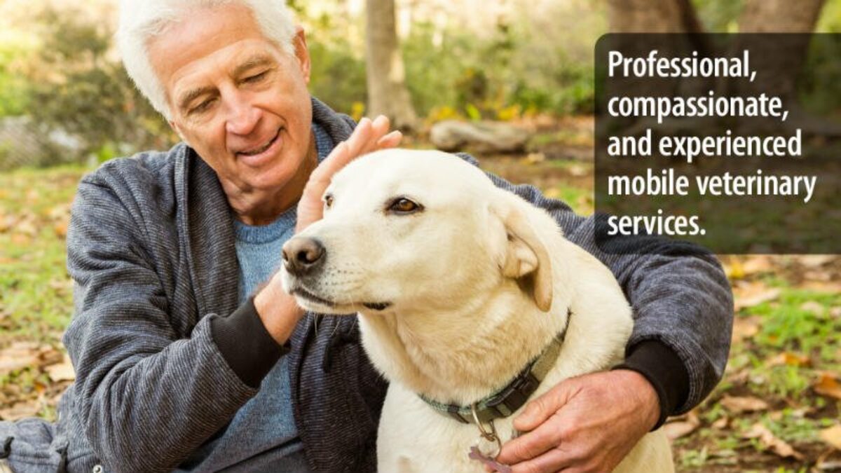 Healthy Pet Care - Visiting Vet